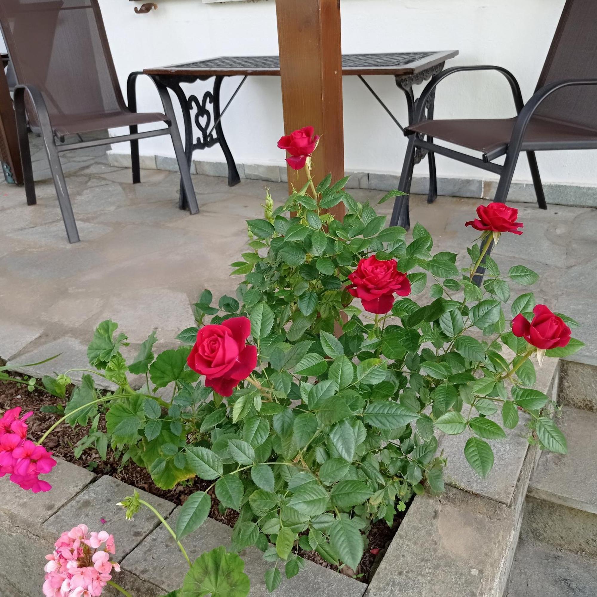 Asprovalta Rooms Kariotes ภายนอก รูปภาพ